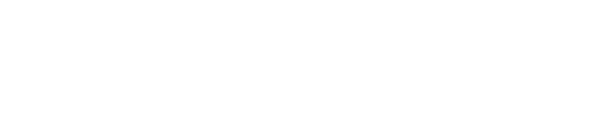 Partido Popular de Castilla y León